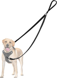 Two Point Control Dog Leash, No Tangle Training Walking Leashes – Essentials for Dogs - Black