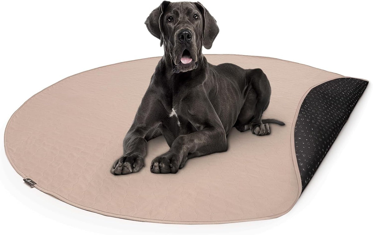 Paw Inspired Round Washable Pee Pads for Dogs - 72" (1 pack)