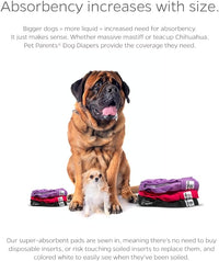 Pet Parents® Washable Dog Diapers (3pack) + Extendrs® of Durable Doggie Diapers, Premium Dog Diapers Female (X-Large, Princess)