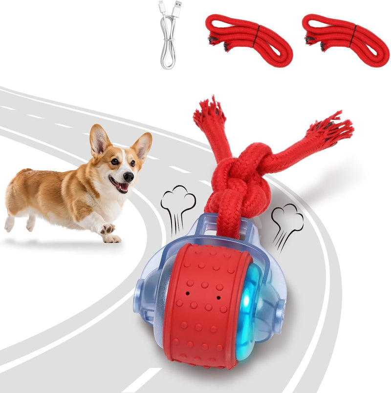 Dog Toys Interactive Rolling Ball with Rope, Motion-Activated – Essentials for Dogs
