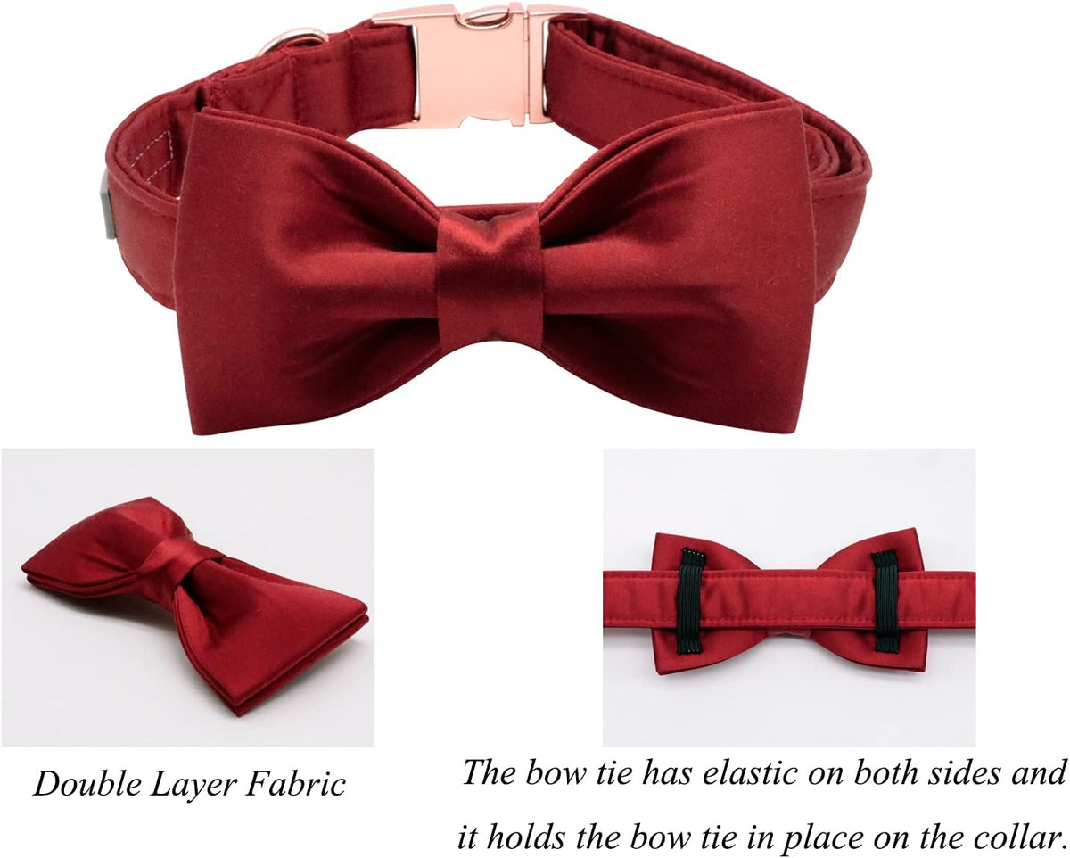 Lionet Paws Bowtie Dog Collar - Medium (Pack of 1) / Red - image 3