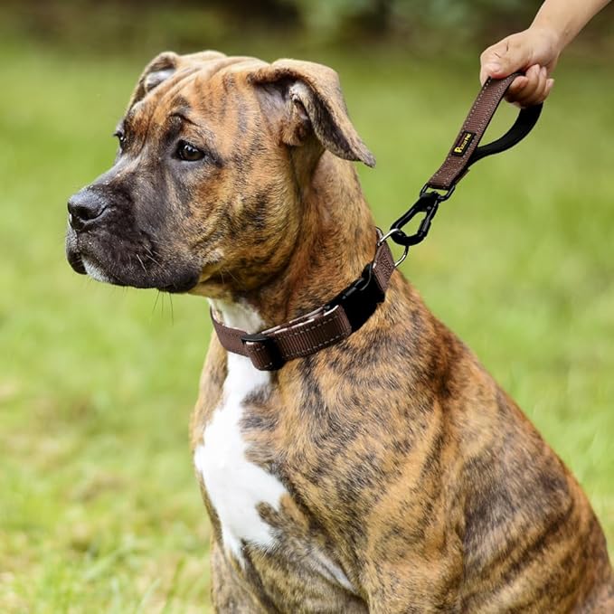PLUTUS PET Short Training Dog Leash with Padded Handle for Medium Large Dogs,18 Inch Heavy Duty Strong Traffic Leash with Carabiner Clip for Climbing Walking or Guiding Blind(18”，Chocolate)