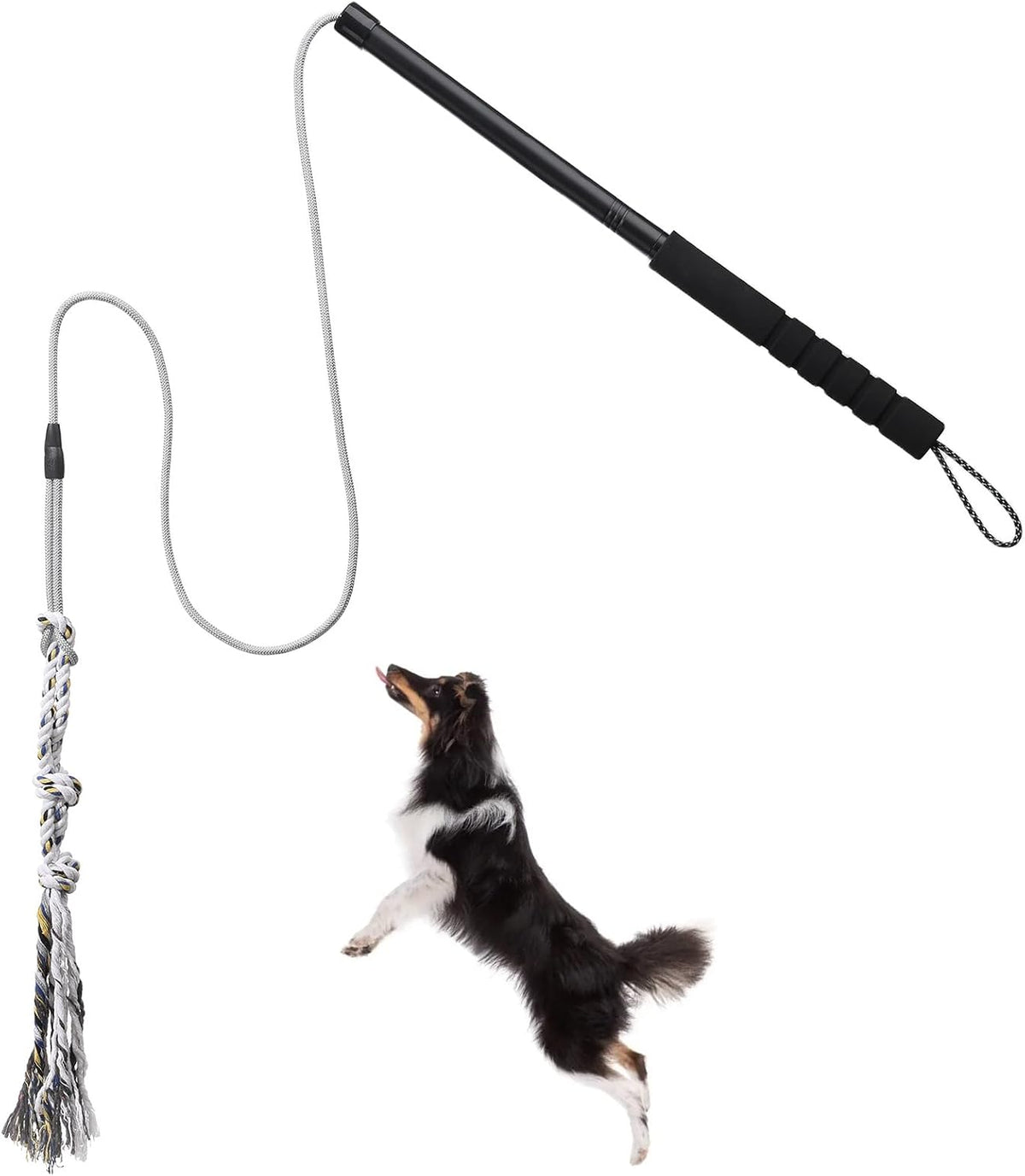 Flirt Pole for Small Medium Dogs