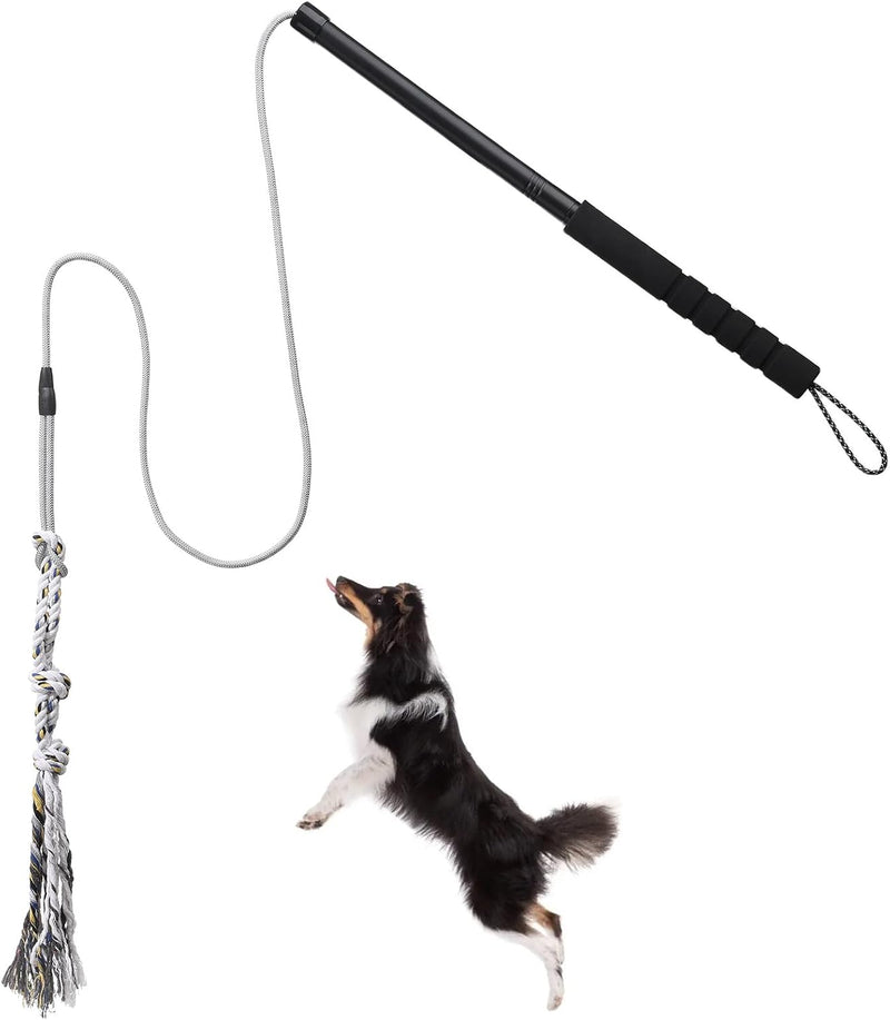 Flirt Pole for Small Medium Dogs