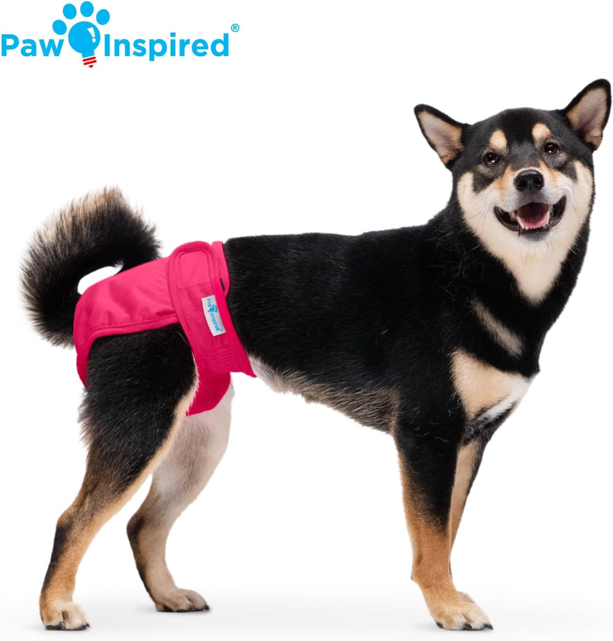 Paw Inspired Washable Dog Diapers, Assorted and White Lining - Assorted (Black Lining) / Medium (3 ct.) - image 4