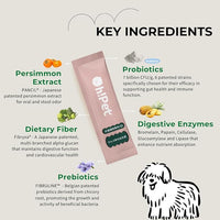 Oh!Pet® 5-in-1 Digestive Probiotics – 7B CFU Powder for Dogs & Cats with Prebiotics & Enzymes (Codfish, 30 Packets)