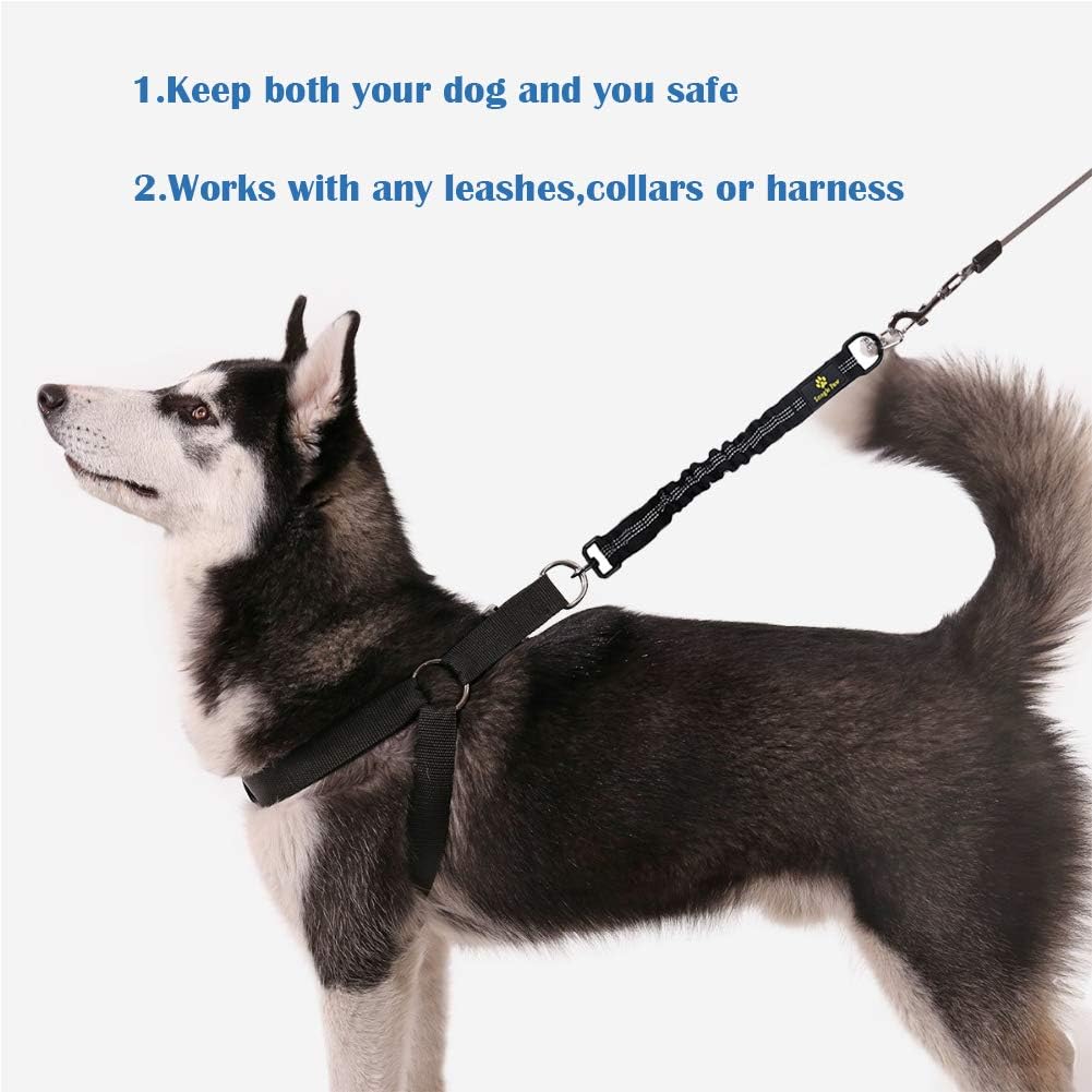 Bungee Dog Leash Extension Attachment - Black - image 2