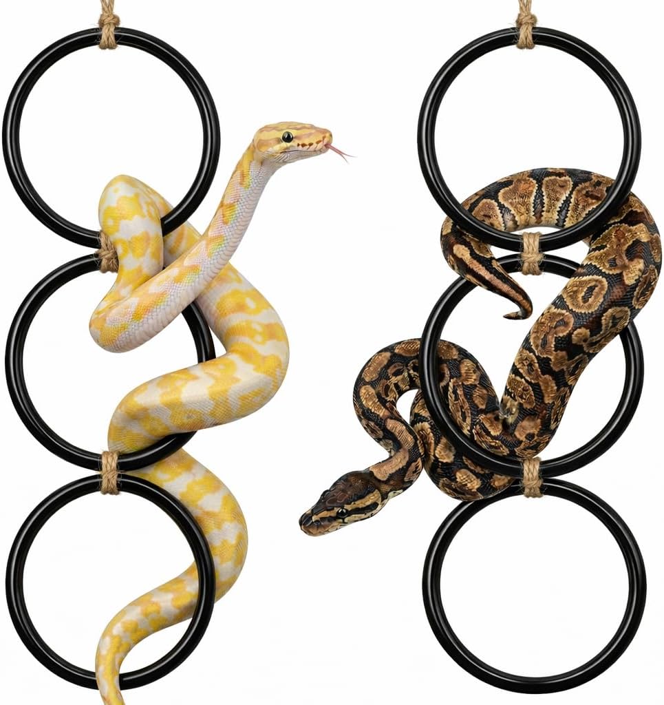 2PCS Snake Climbing Rings for Ball Python