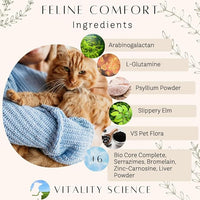 Feline Comfort for Cats | Maintains a Healthy Intestinal Tract and Proper Gut Flora | Restores Gastric Stability | for Vomiting and Diarrhea | 100% Additive Free (Seafood, 220g)