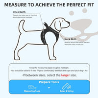PUPTECK Dog Harness, Collar and Leash Set No Pull for Small Medium Sized – Essentials for Dogs - Blue / S (CHEST 14.5"-16") / Patterned Harness Collar and Leash Set - image 2