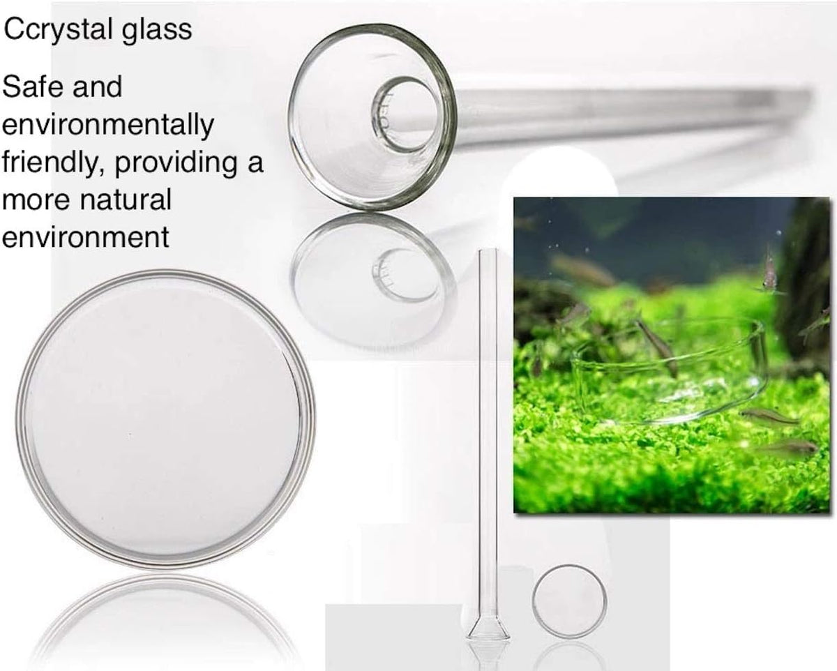 Shrimp Feeding Tube and Dish - 10" + 1 Tray - image 4