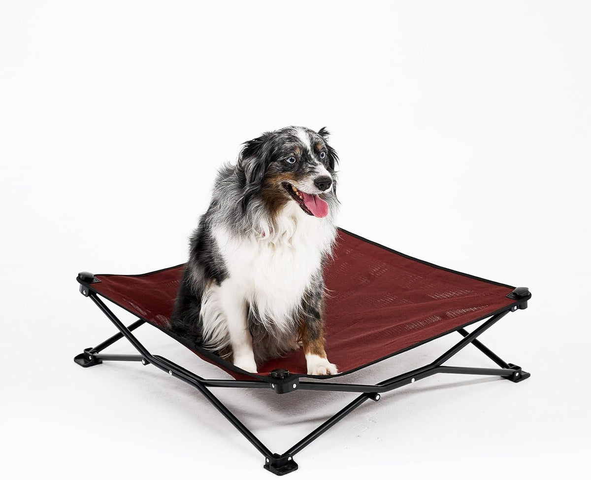 Coolaroo On-The-Go Elevated Dog Bed - Medium / Brick - image 2