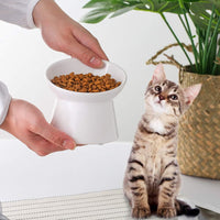 Elevated Cat Bowls, 15° Tilted Ceramic Cat Food Bowl - White / Small - image 4