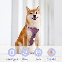 Pawaii Dog ID Tag, Silent Silicone QR Code Tag, Scan Alerts - Purple - image 2