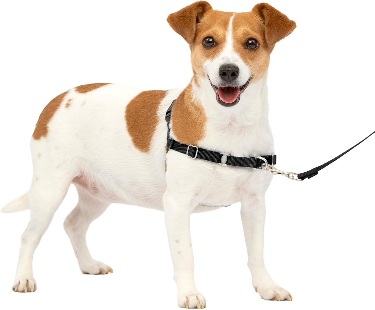 PetSafe Easy Walk Harness, No Pull Dog Harness, Royal Blue - Black/Silver / Small / 1 - image 2