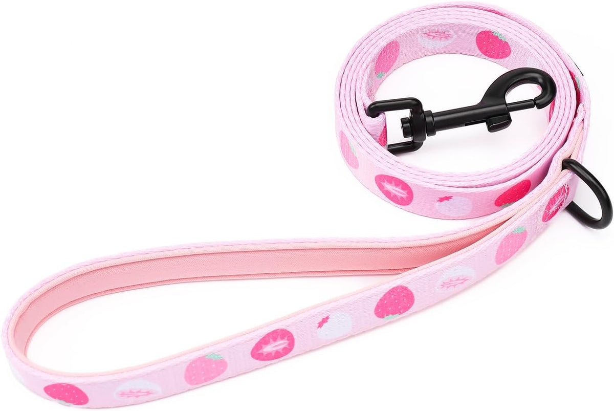 Dog Harness and Leash Set, Adjustable Dog Harness, Dog Leash - Strawberries / S(Chest 13 - 19", Neck 9.5 - 13.1") - image 3