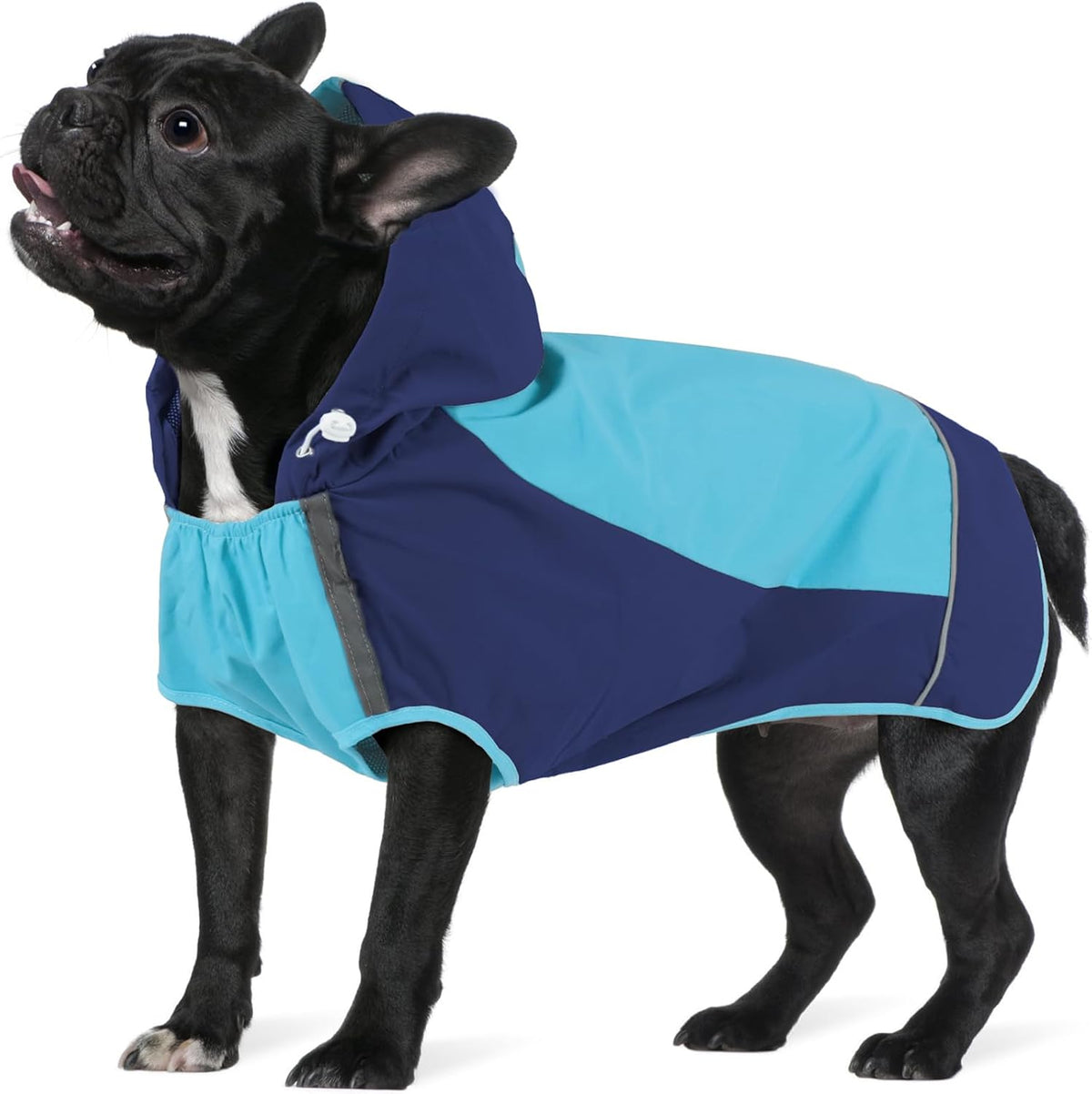 Hooded Dog Raincoat, Reflective Large Dog Rain Poncho - Small / Blue