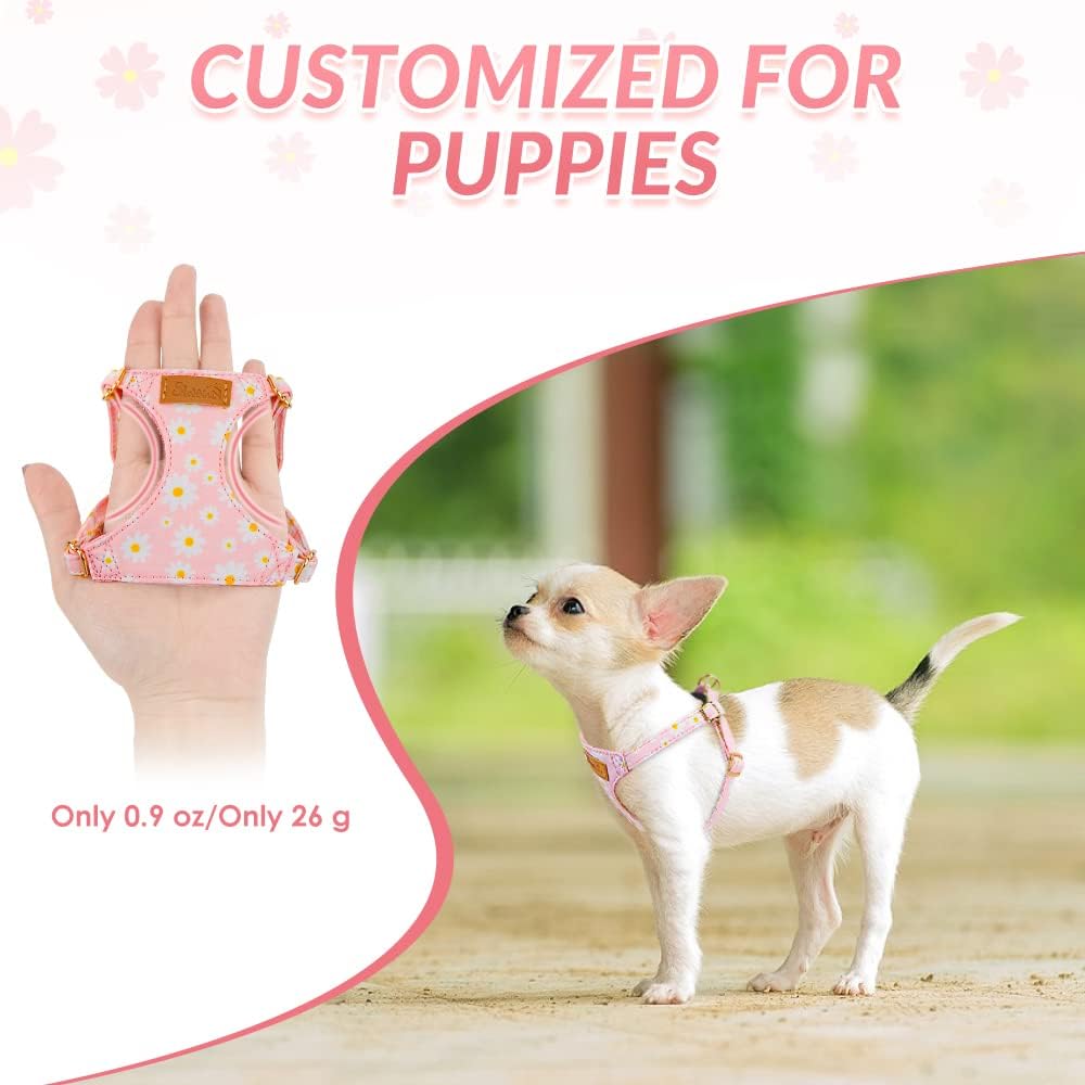 SlowTon No Pull Dog Harness with Leash for Small Medium Dogs - Small(11-17.5lb) / Pink Daisy - image 2