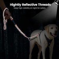 IOKHEIRA 6Ft /4Ft Dog Leash Rope for Large Dogs, Heavy Duty with Comfortable Padded Handle and Highly Reflective Threads,4-in-1 Multifunctional Dog Leashes with Car Seat Belt for Training (Black)