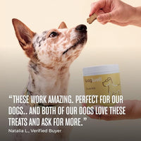 WagWell Calming Chews for Dogs – Vet-formulated Anxiety Relief for Dogs to Reduce Stressful Situations Like Travel or Fireworks – Separation Anxiety Relief for Dogs to Ease Stress & Promote Relaxation