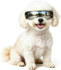Clear Dog Goggles for Small Dogs - Cute Silver / Small