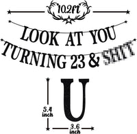 Black Glitter Look at You Turning 25 & Sh*t Banner - 23 - image 2
