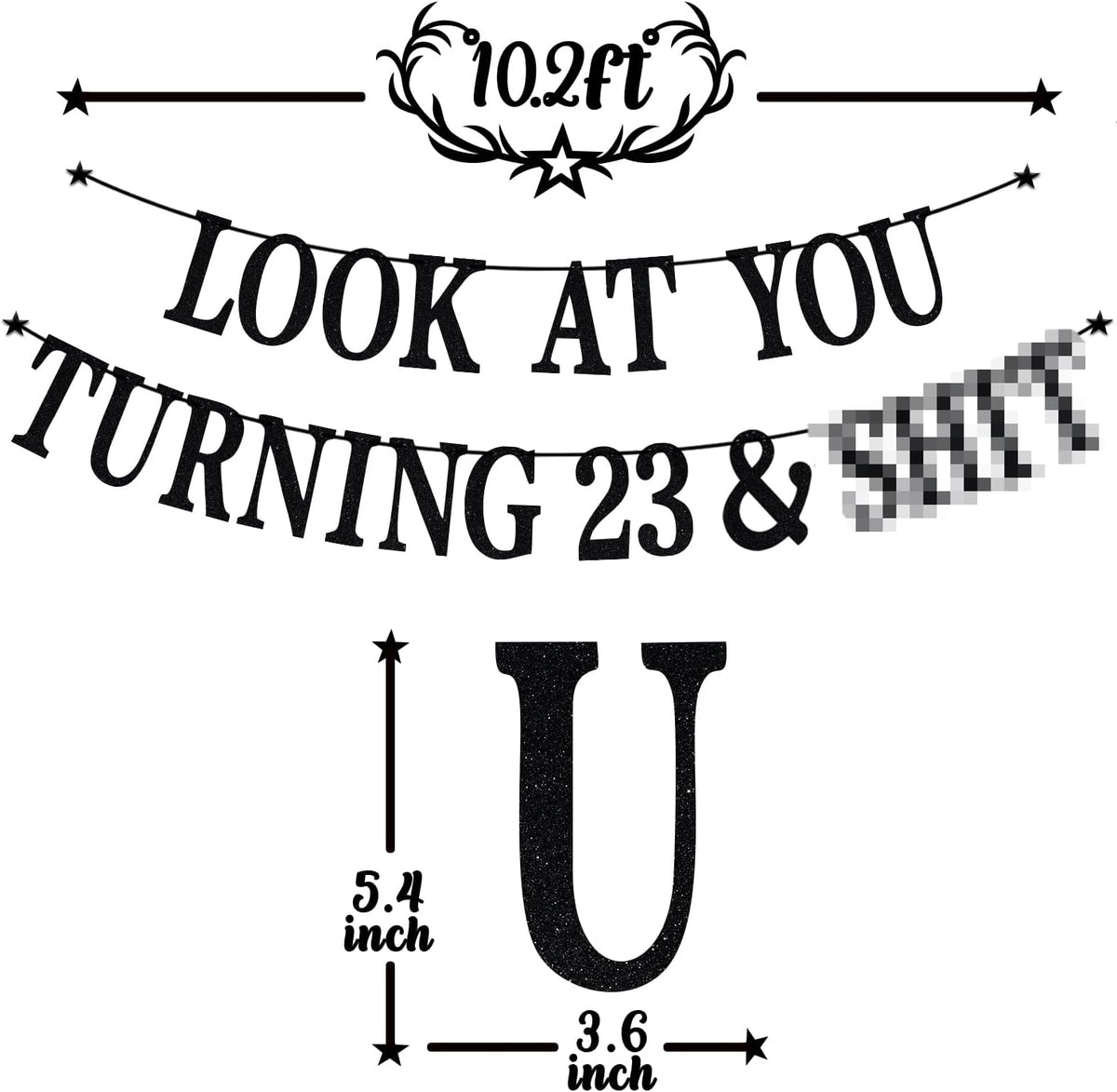 Black Glitter Look at You Turning 25 & Sh*t Banner - 23 - image 2