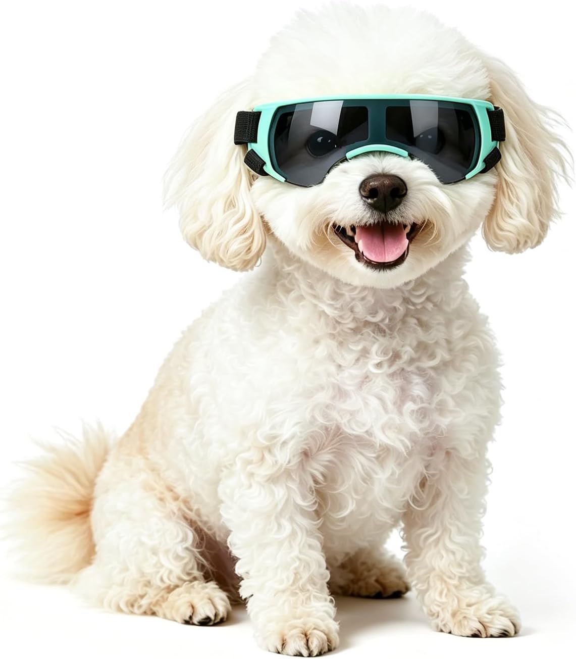 Clear Dog Goggles for Small Dogs - Cute Blue / Small