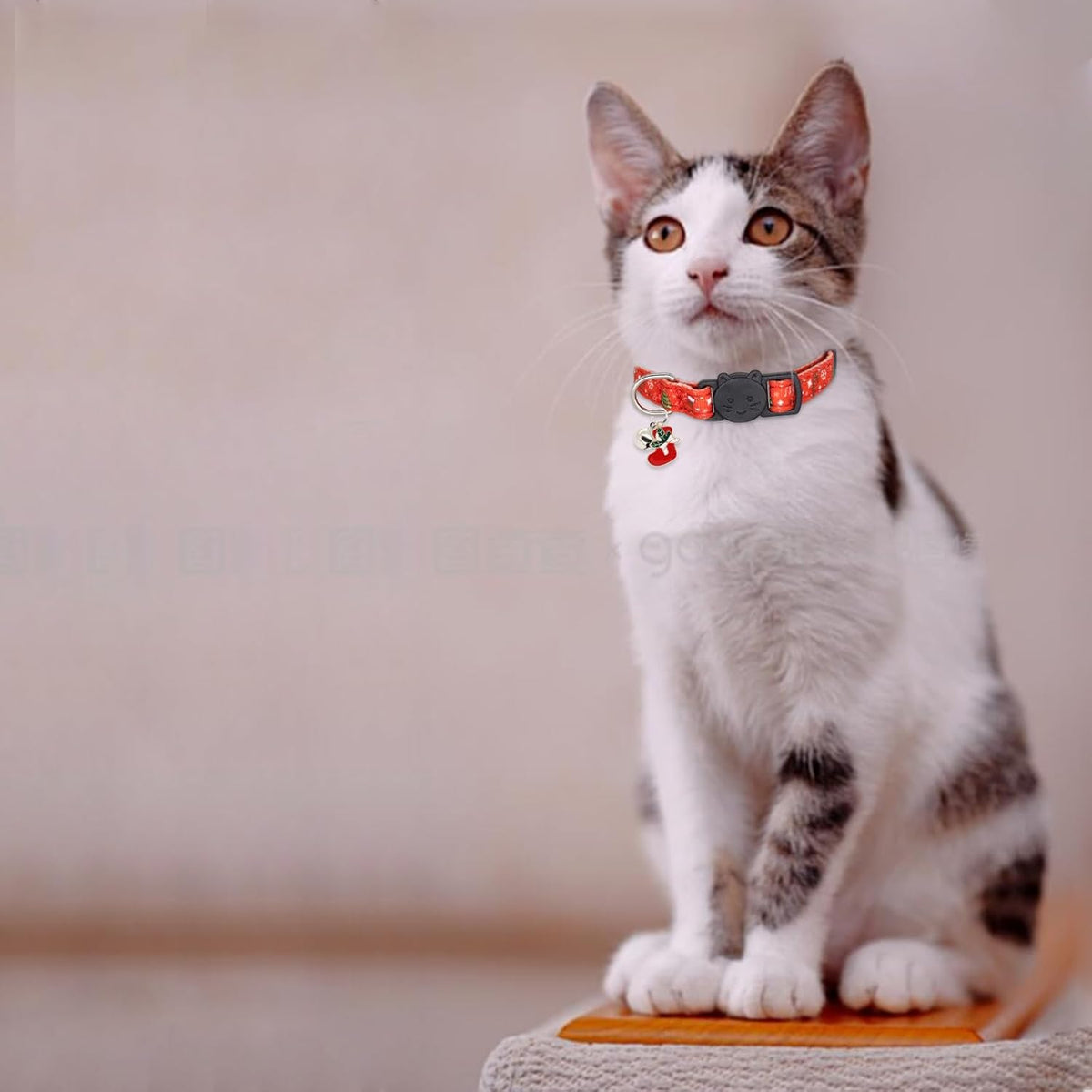 Halloween Cat Collar, Cotton 2 Pack Cat Collar with Bells - Christmas / 7-11'' - image 2