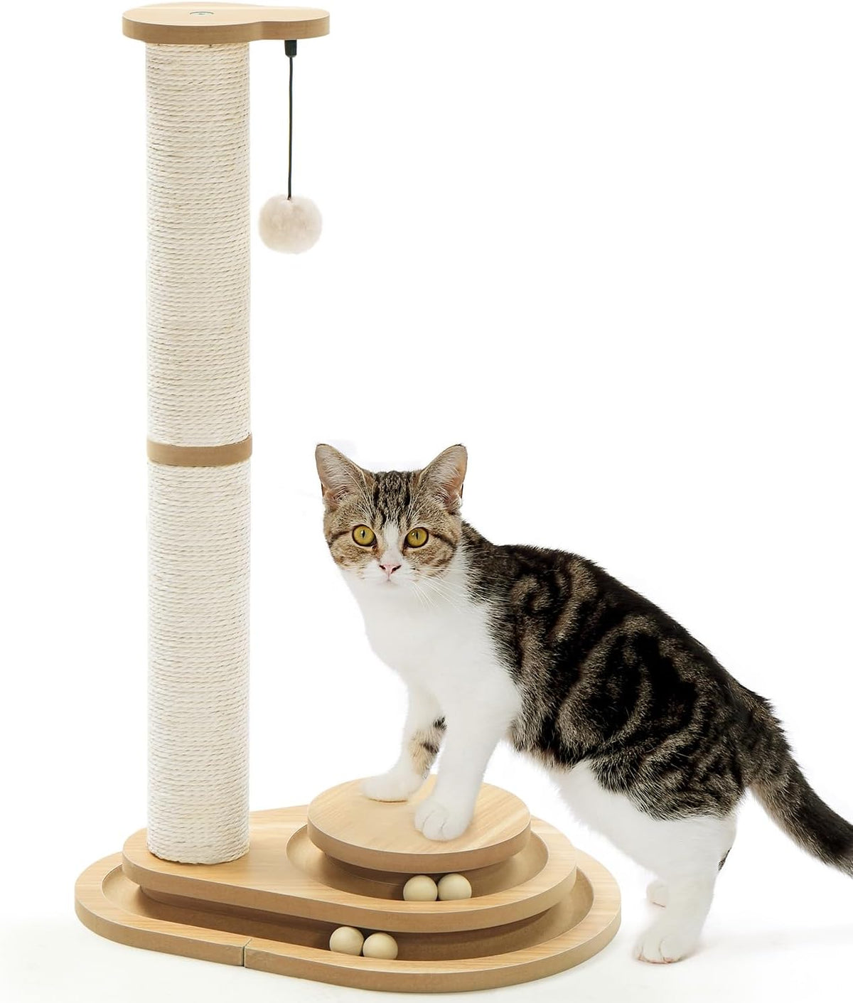 Made4Pets Kitten Toy Scratching Post for Indoor Cats with Ball Track – Essentials for Cats - 32"H