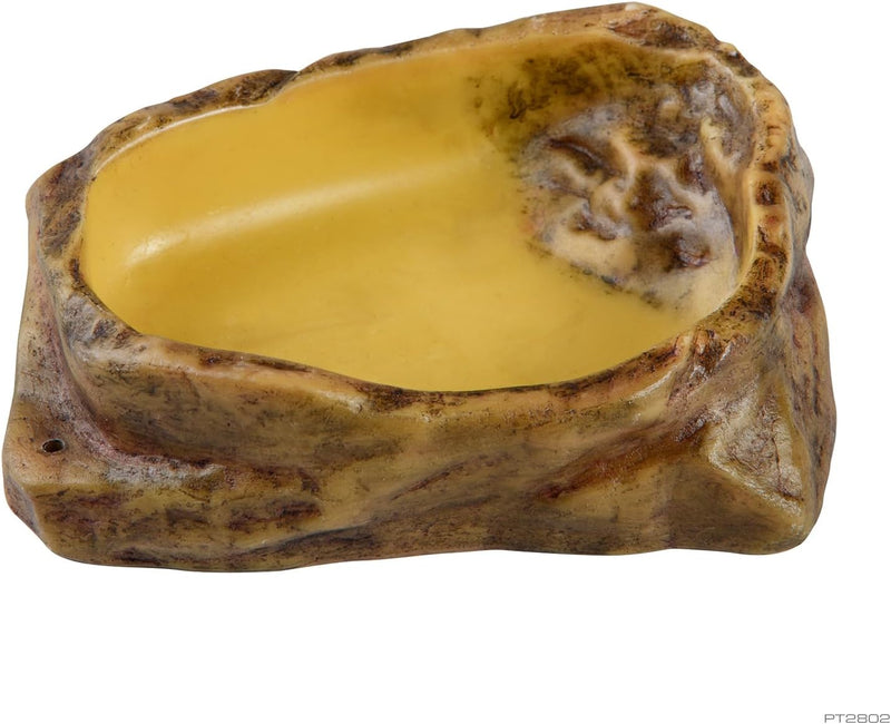 Exo Terra Water Dish, Medium – Essentials for Reptiles And Amphibians