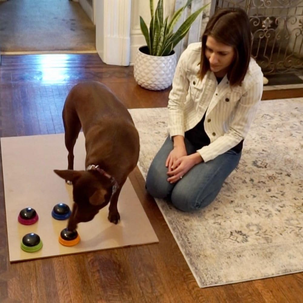 Hunger For Words Talking Pet Starter Set – Essentials for Dogs - image 4