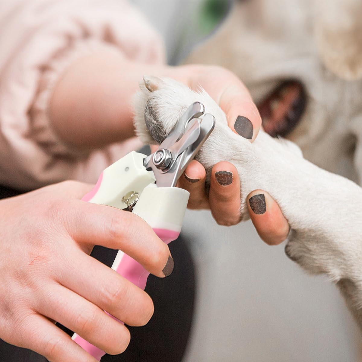 Pet Nail Clippers and Trimmers Set Safety Guard to Avoid Over Cutting - Pink - image 4