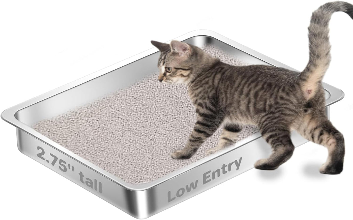 Low Entry Stainless Steel Cat Litter Box for Kittens - 1 pack-17.72'' Lx 13.78'' W x 2.76'' H