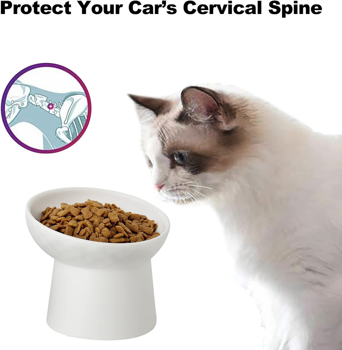 Elevated Cat Bowls, 15° Tilted Ceramic Raised Cat Food and Water Bowl Set, Whisker-Friendly - White / 5.2 Inch (Pack of 4) - image 3