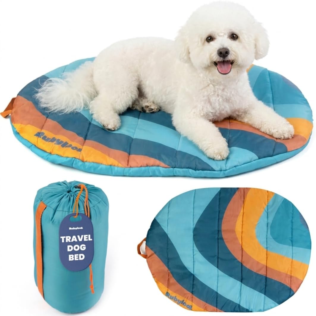 Travel Dog Bed, Foldable & Packable with Carry Bag, Black - Sunset Surf / Small