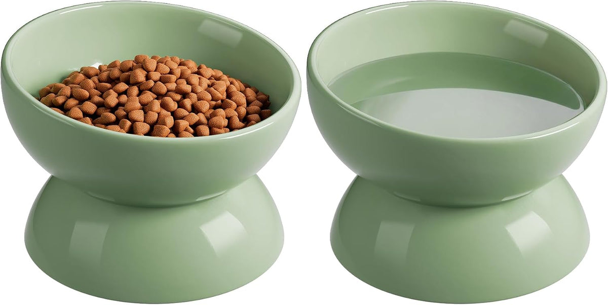 Cat Water Bowl, 15° Tilted and Raised Pet Food Dish - 2 Pack / Sage Green