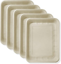 Disposable Small Litter Boxes for Cats, Litter Box for Recovery, Kitten Travel Tray, Shallow, Low-Entry Litterbox for Senior Cats (5-Pack)