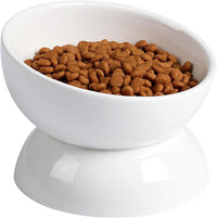 Cat Water Bowl, 15° Tilted and Raised Pet Food Dish - 1 Pack / White