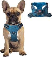 Dog Harness Step in Dog Vest Harness, Reflective Adjustable Puppy No Pull Harness Breathable Soft for Small and Medium Dogs Cats, Blue/Black, S