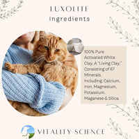 Gastro Prime Combo for Cats | Supports Normal GI Function and Improves Nutrient Assimilation