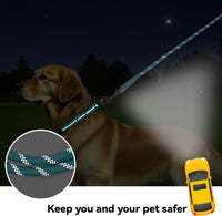 Long Dog Training Leash，Heavy Duty Reflective Rope Lead for Small - Blue / 30FT - image 3