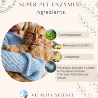 Gastro Prime Combo for Cats | Supports Normal GI Function and Improves Nutrient Assimilation