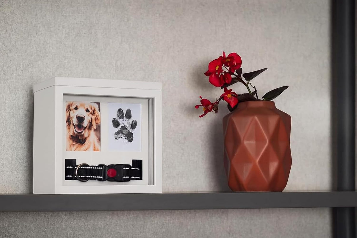 Black Dog Urn for Ashes 4 Customizable Displays Ink Paw Print Kit – Essentials for Dogs - White - image 2