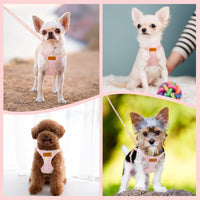 SlowTon No Pull Dog Harness with Leash for Small Medium Dogs - Medium(18-31lb) / Pink Daisy - image 4