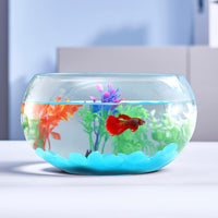 2 Gallon Glass Fish Bowl with Decor - 1 gal fish bowl