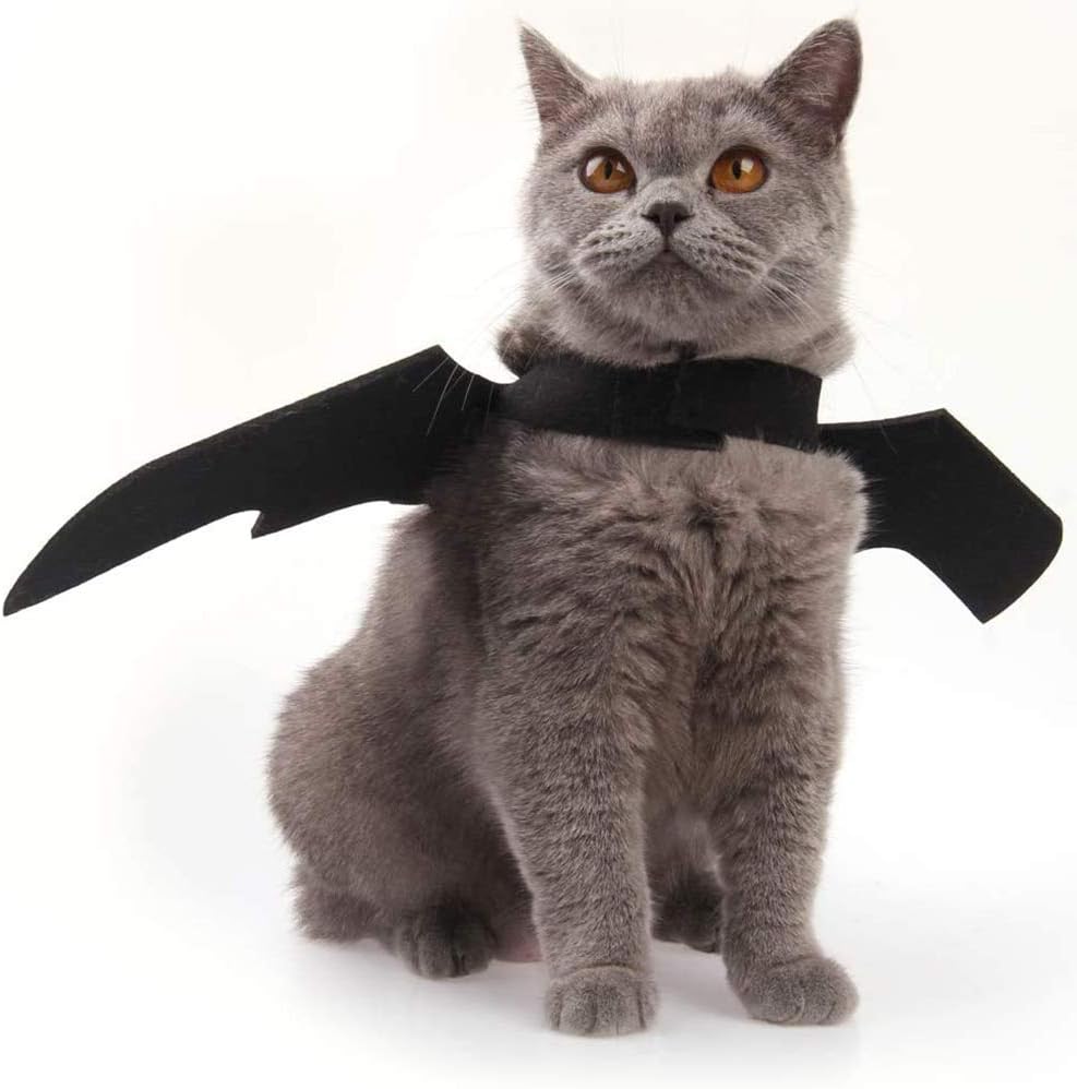 Cat Halloween Costume Bat Wing Pet Apparel for Small Dog Puppy Kitty - image 2