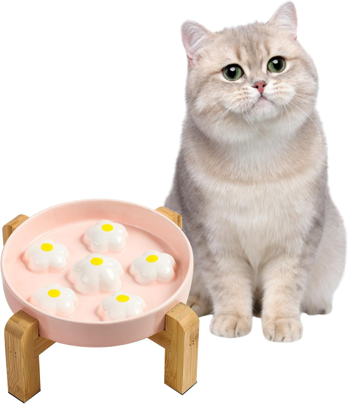 Ceramic Slow Feeder Cat Bowl, 6.3" Whisker Friendly Anti-Vomit - White + Stand