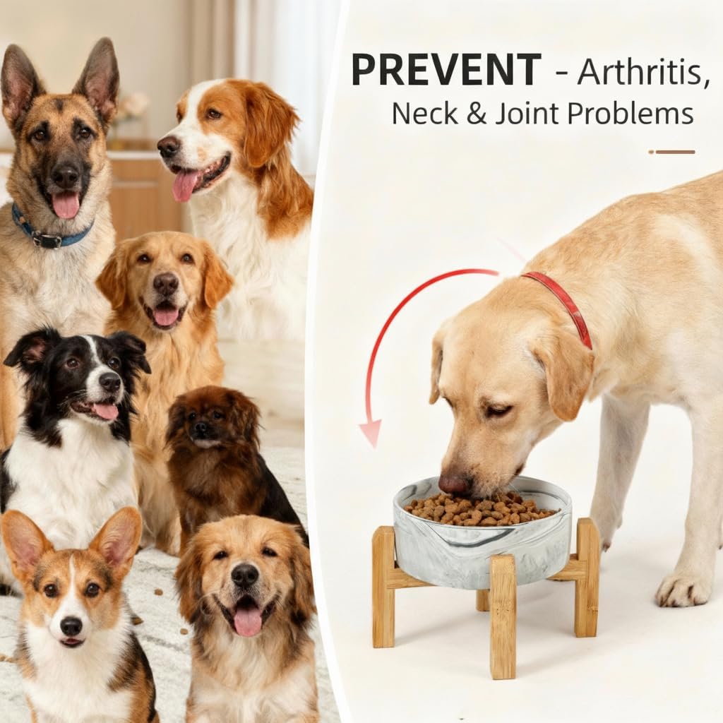 Elevated/Raised Ceramic Dog Bowl with Bamboo Stand，6 Inch 3.6 Cups - Marble Gray / Large - image 2