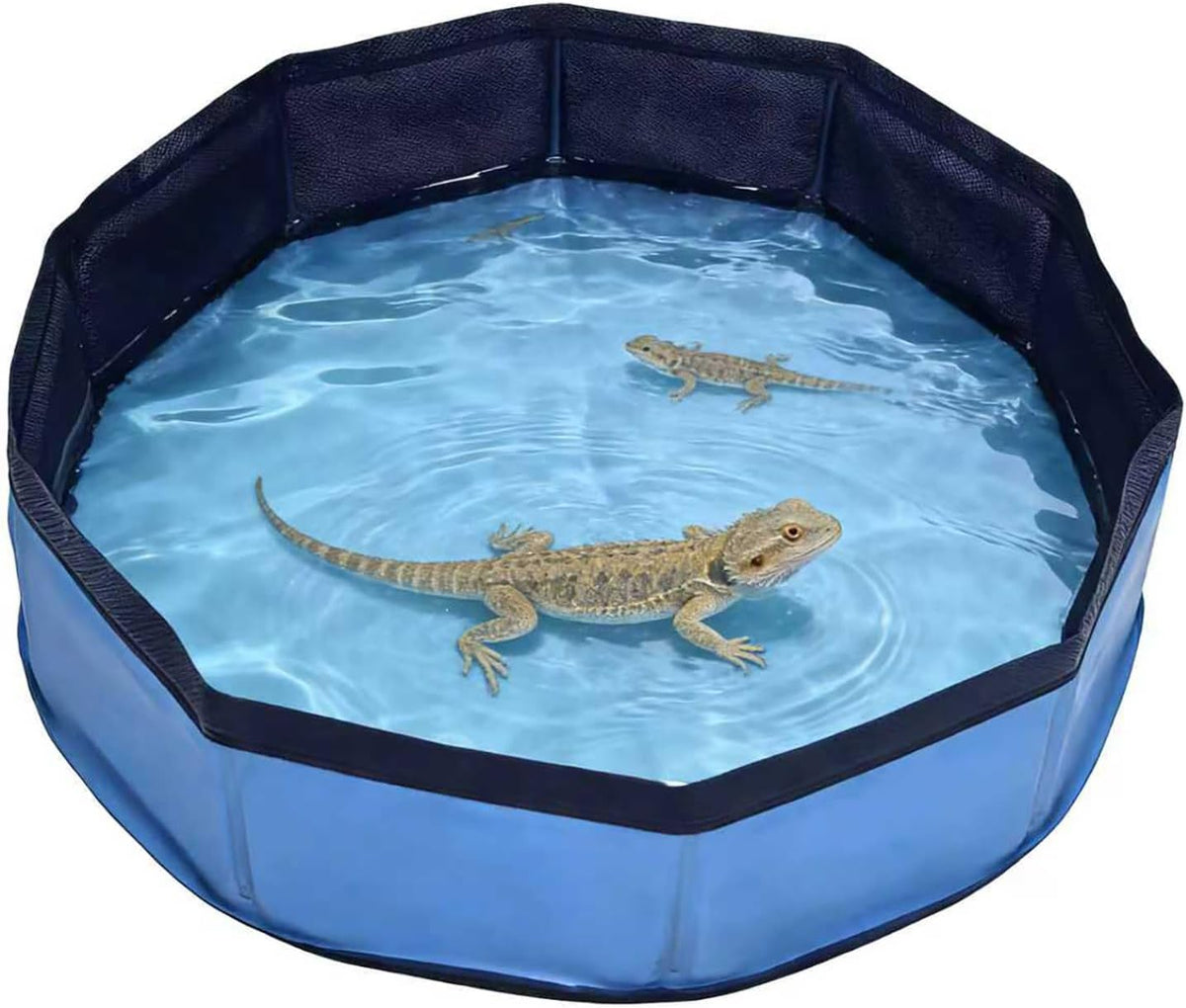 Eooqi Foldable Bearded Dragon Bathtub - Blue